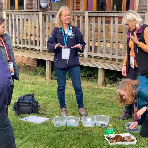 Outdoor Lead Teacher - Training Course